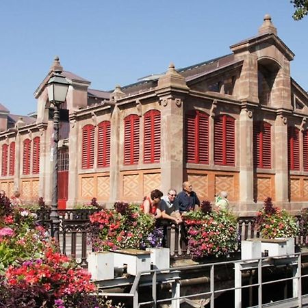 Colmar Historic Center - Cosy Appartement Turenne 1 - Bookingalsace エクステリア 写真